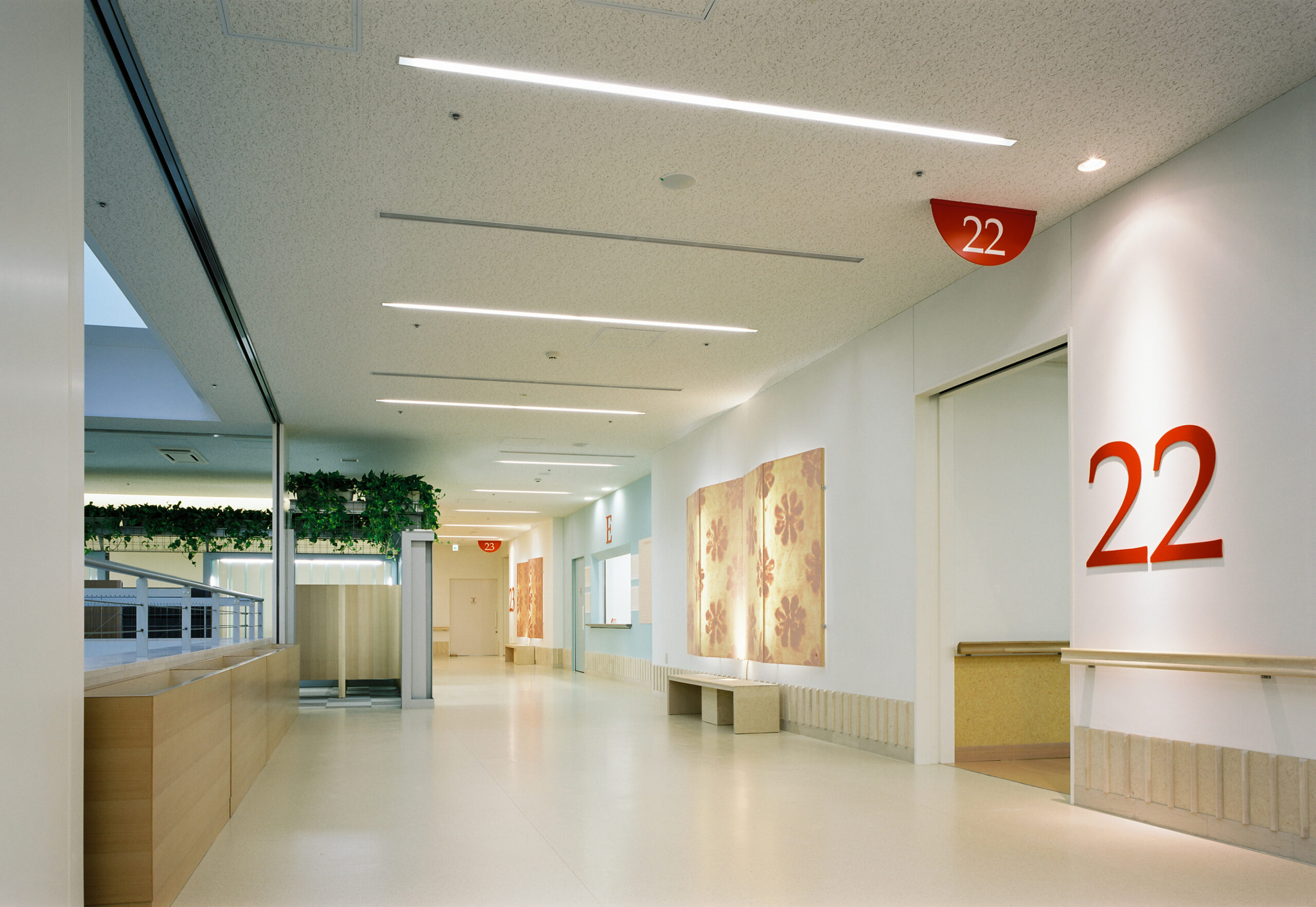 2階ホスピタルストリートの写真