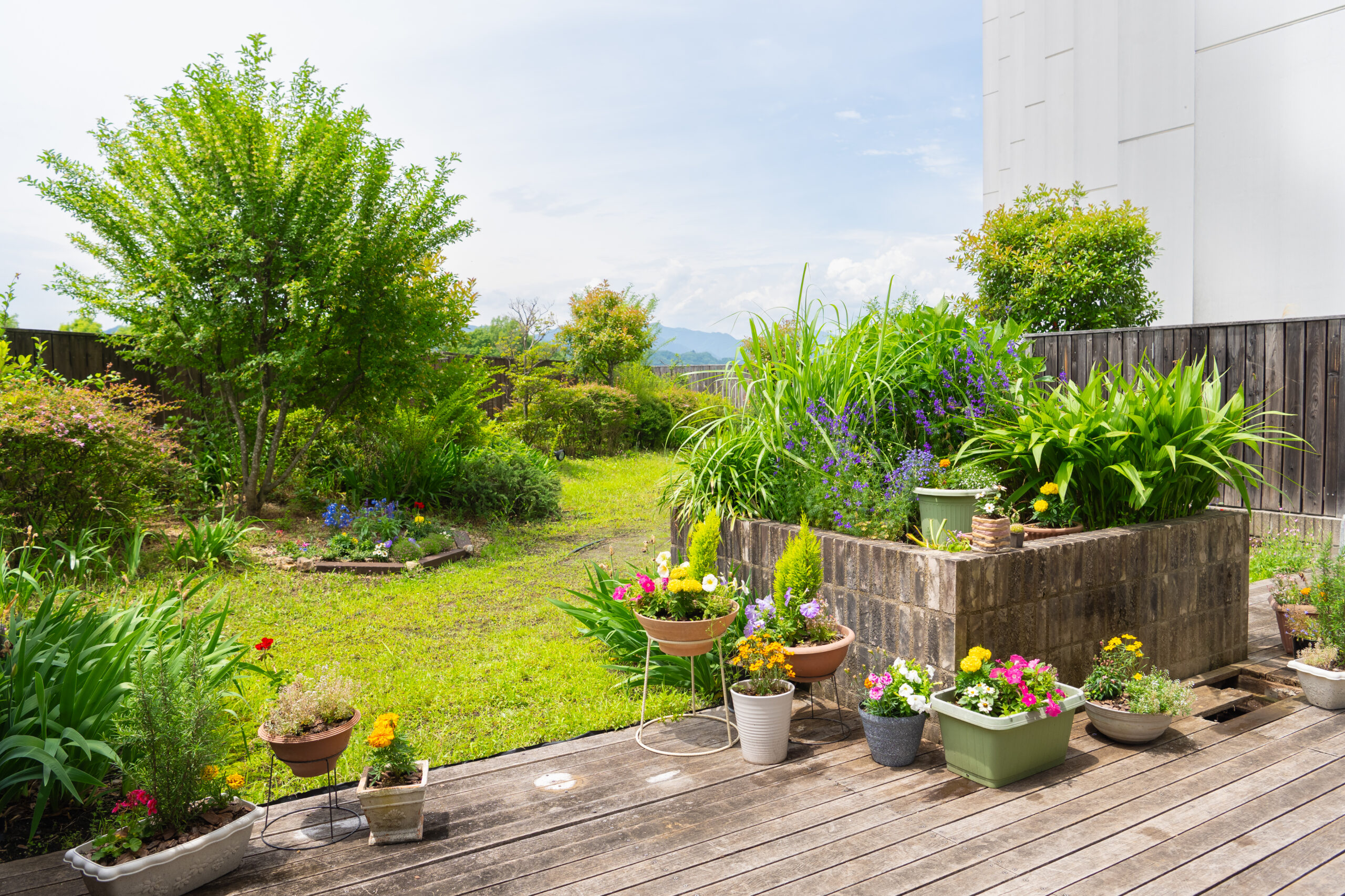 診療科のご案内　緩和ケア科
