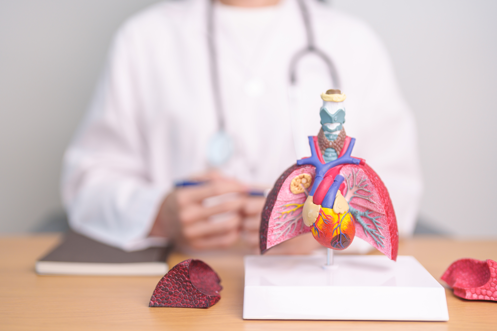 診療科のご案内　呼吸器外科